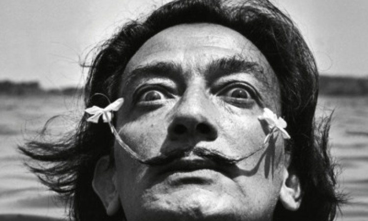 Salvador Dali: Egy zseni naplója