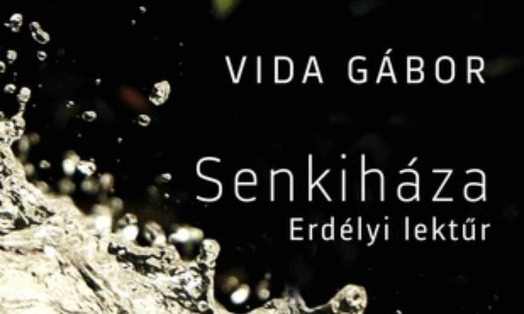 Vida Gábor: Senkiháza