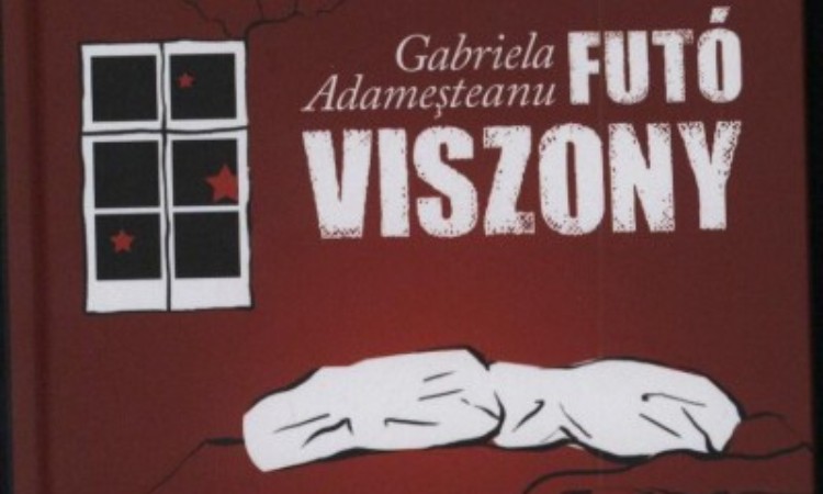 Gabriela Adamesteanu: Futó viszony