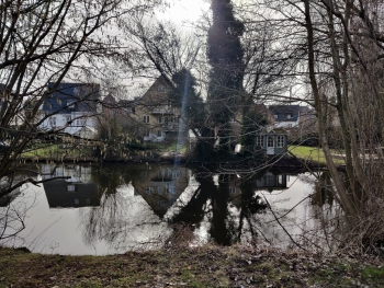 15029